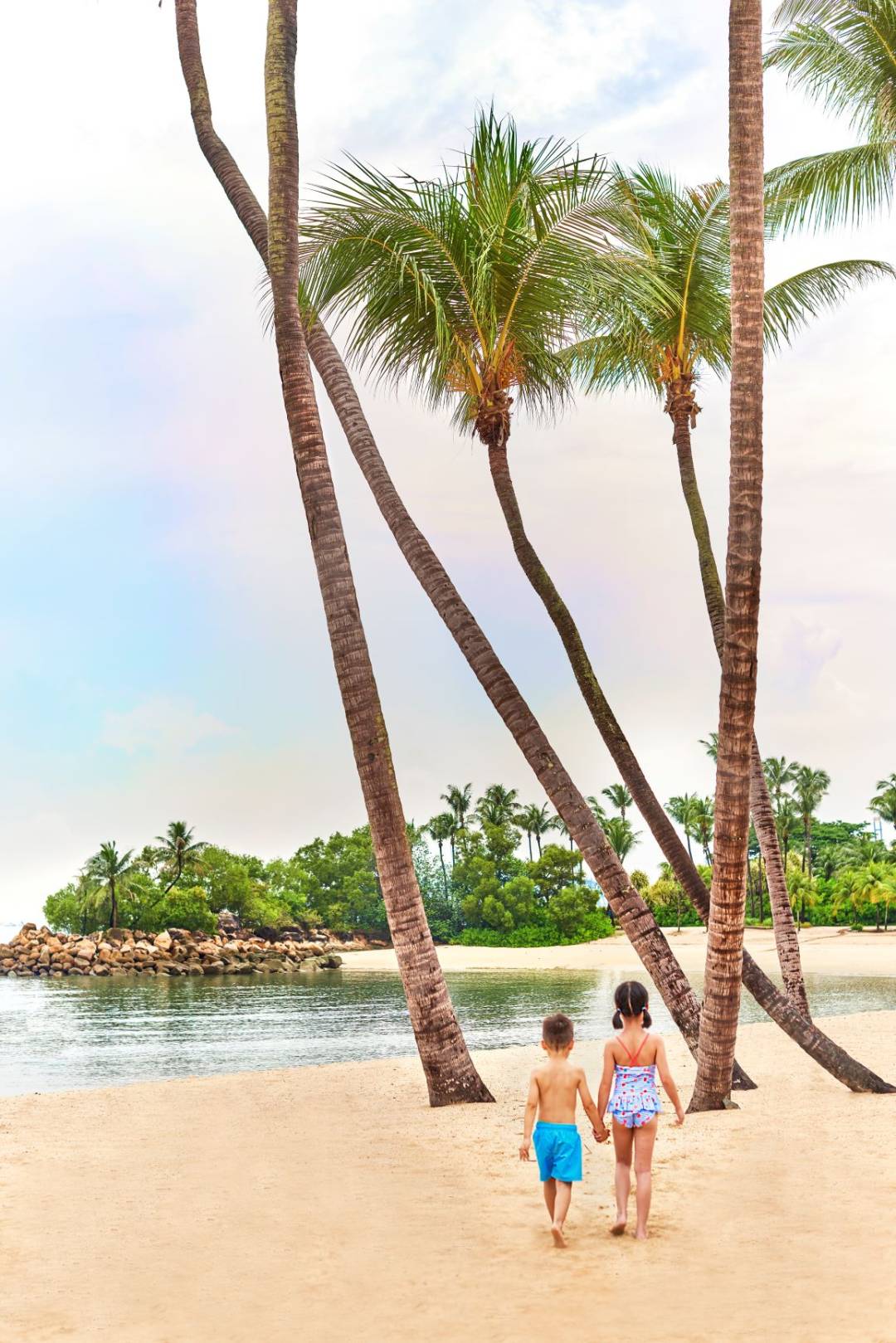 吃土也要去!1家3口嗨翻新加坡五星級酒店,私人沙灘、樹屋、兒童俱樂部…太值了