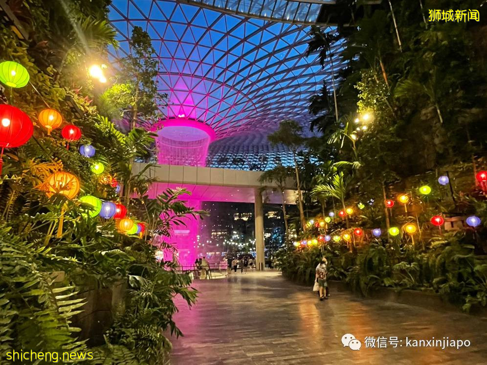 【下周活动】新加坡中秋好去处!网红下午茶、运动鞋买一送一