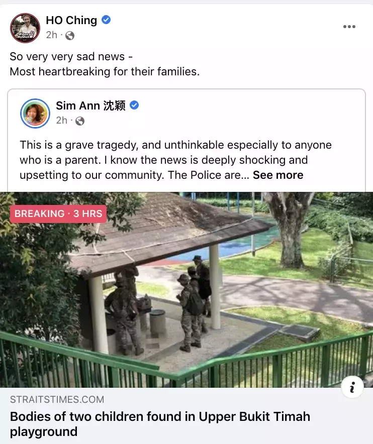 總理夫人關注!新加坡11歲雙胞胎男童陳屍水溝、死因不明