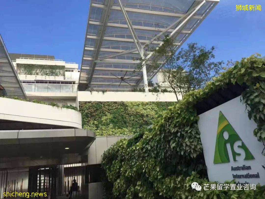 新加坡这两所超人气国际学校,为何独受明星、高管家长青睐
