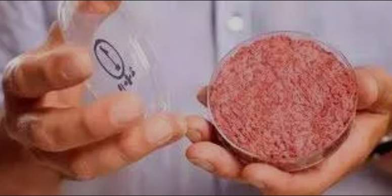 人造雞肉、植物肉...在新加坡還能安安靜靜的吃口真肉嗎