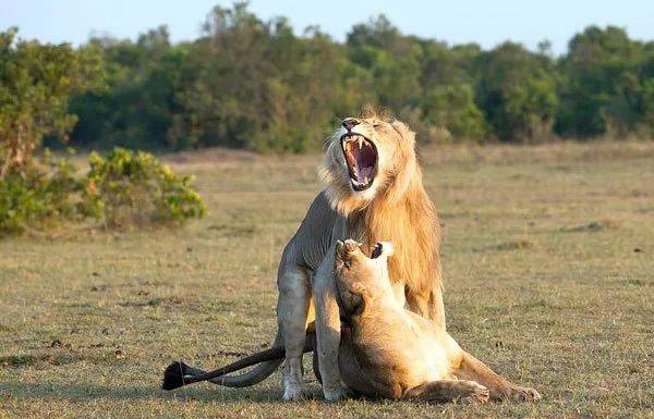 “今天,我又在組屋樓梯間,發現保險套和紙巾了...”