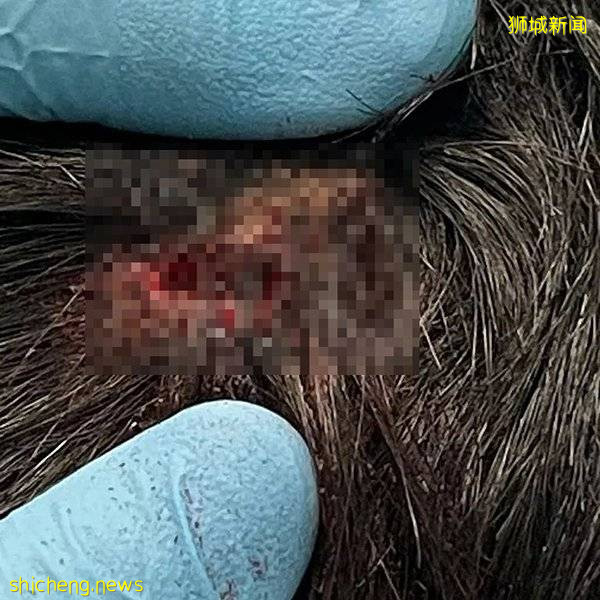 中学生 挥铁棒 重击同学满头血