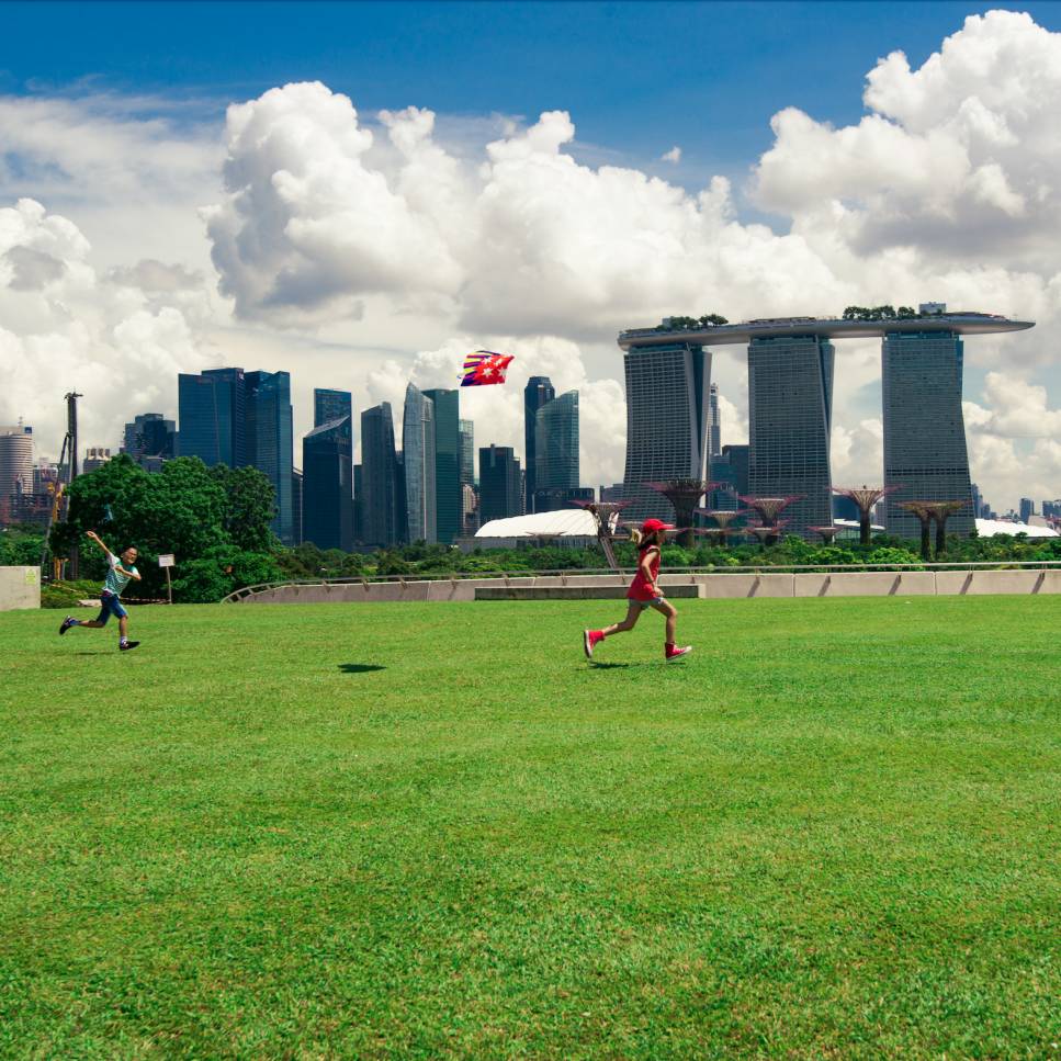 獅城這些“禿”如其來的煩惱,讓它幫你解決