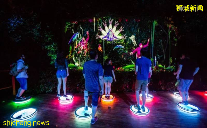新加坡動物園沉浸式多媒體夜行體驗“RAINFOREST LUMINA”|CAAPA周末分享!