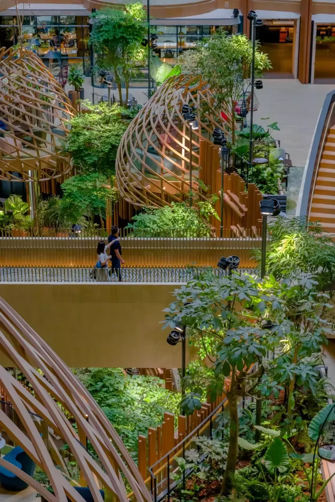 拥有2400多种植物,还有小鸟生活,新加坡这家酒店太美
