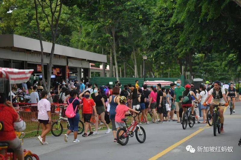 在狮城你我都得让路的公路一族:驰骋追风的自行车骑士