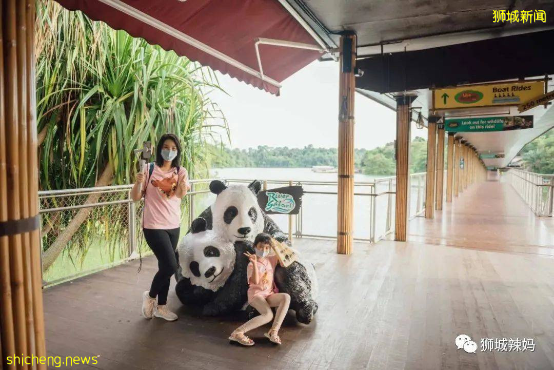 僅2天！新加坡動物園最牛的餵動物之旅，8折！還有幻光雨林和4大園5.5折起，搶啦