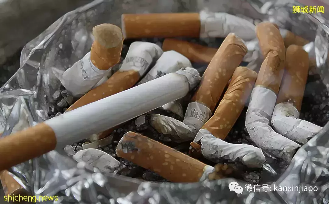 新加坡禁烟令发生大变化！涉及公园和沙滩