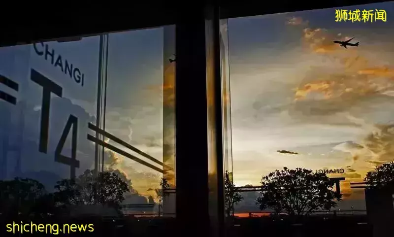 新加坡疫情 过去6天新增3万+,春节假期面临又一轮病例高峰