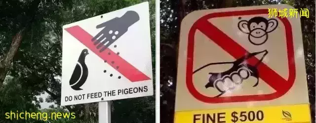 新加坡 很容易被忽视的法律法规