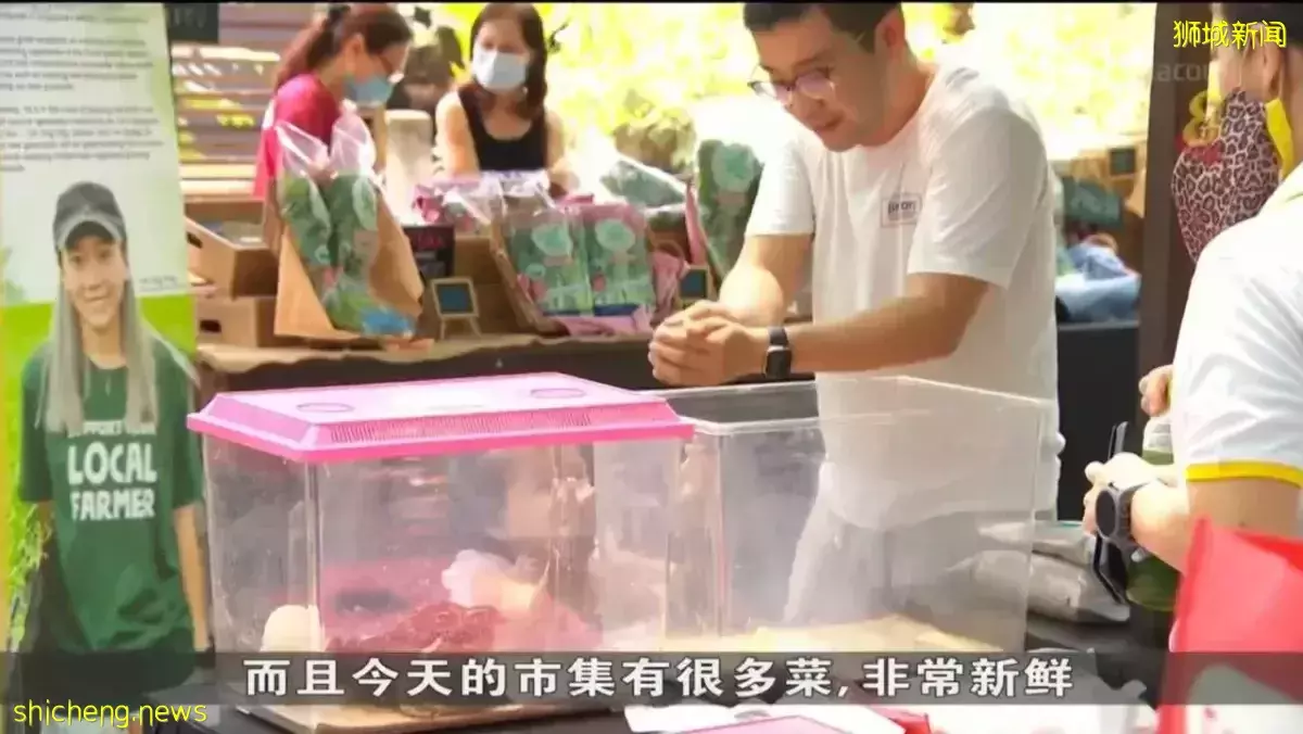 疫情後克蘭芝辦首場農夫市集 反應超出預期