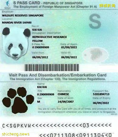 新加坡重磅官宣！本月起，放寬中國勞工的審核標准