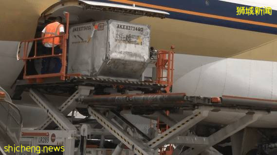 最新!新加坡疫苗接种计划来了!12岁就能打、40岁以上开始预约