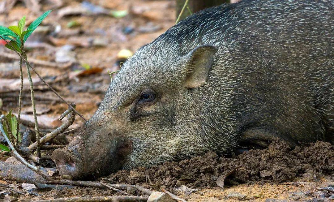 單車美景盡在周邊小島!周末即可出發