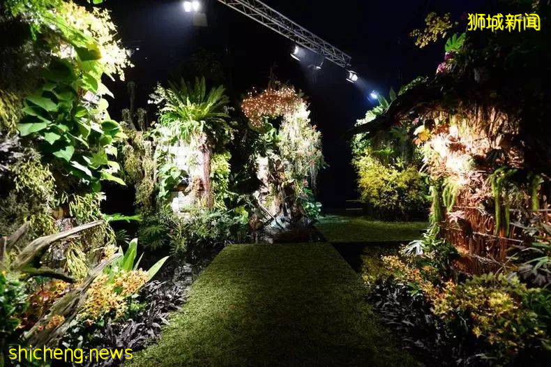 新加坡是怎样一步步成为“花园城市”的!