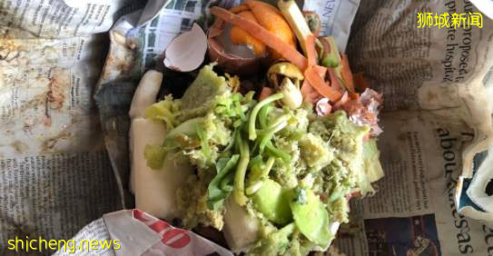 降低碳排放,食物垃圾巧利用,新加坡國立大學又立新功