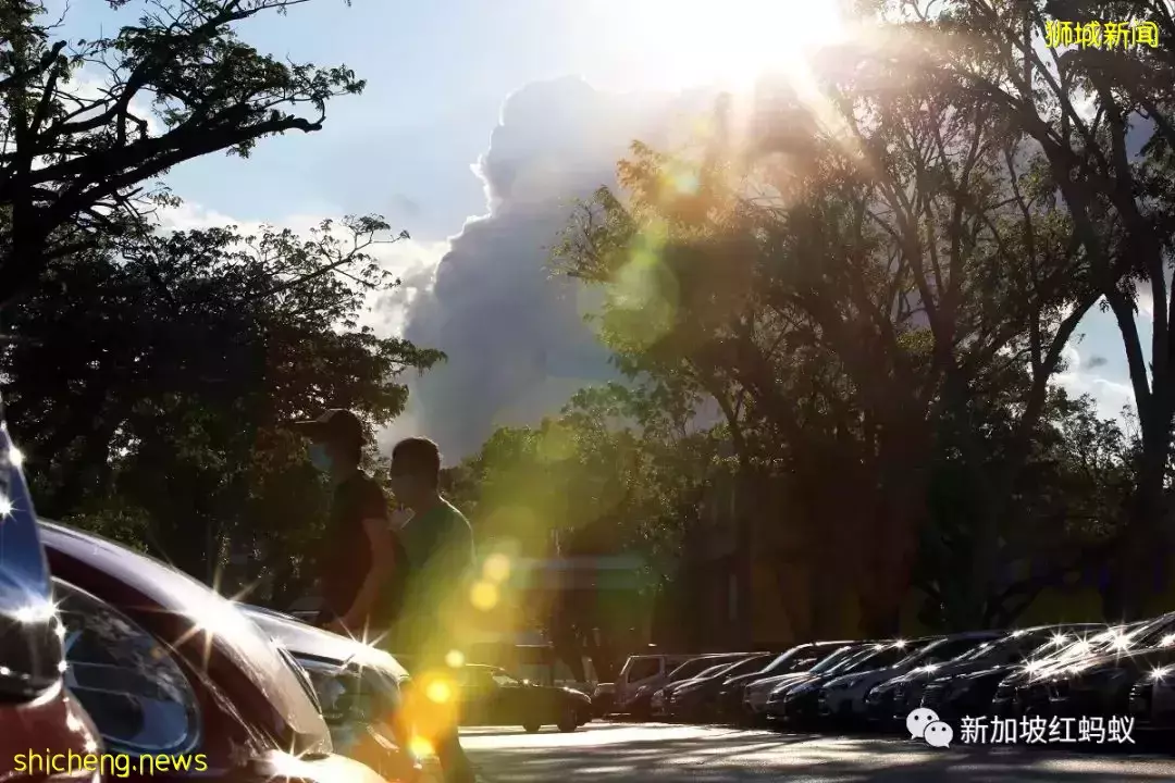 新加坡天氣越變越熱？　科學家：氣候變化使極端夏季提早來臨