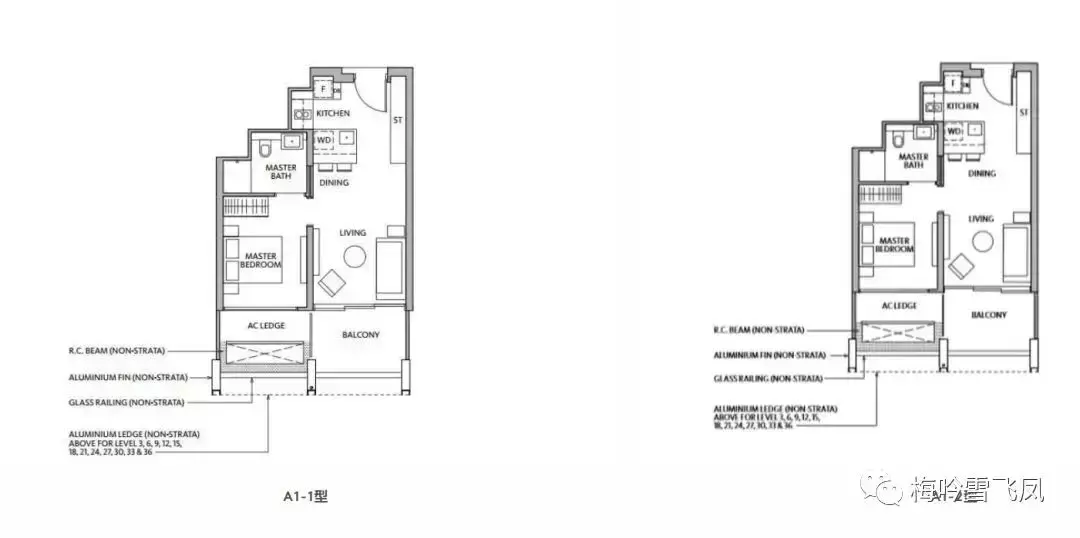 SCDA 新加坡瑞雅嘉苑豪宅项目