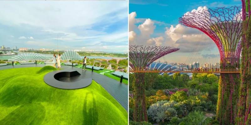 美炸！滨海湾公园新景点，最高天文台大曝光