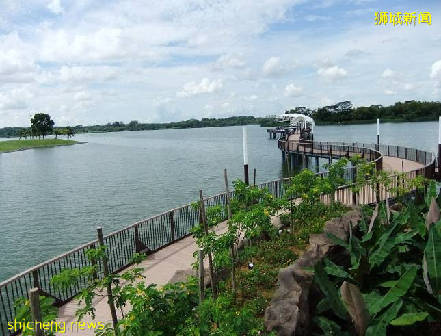 【新加坡留學】你做對了嗎？騎行的正確打開方式