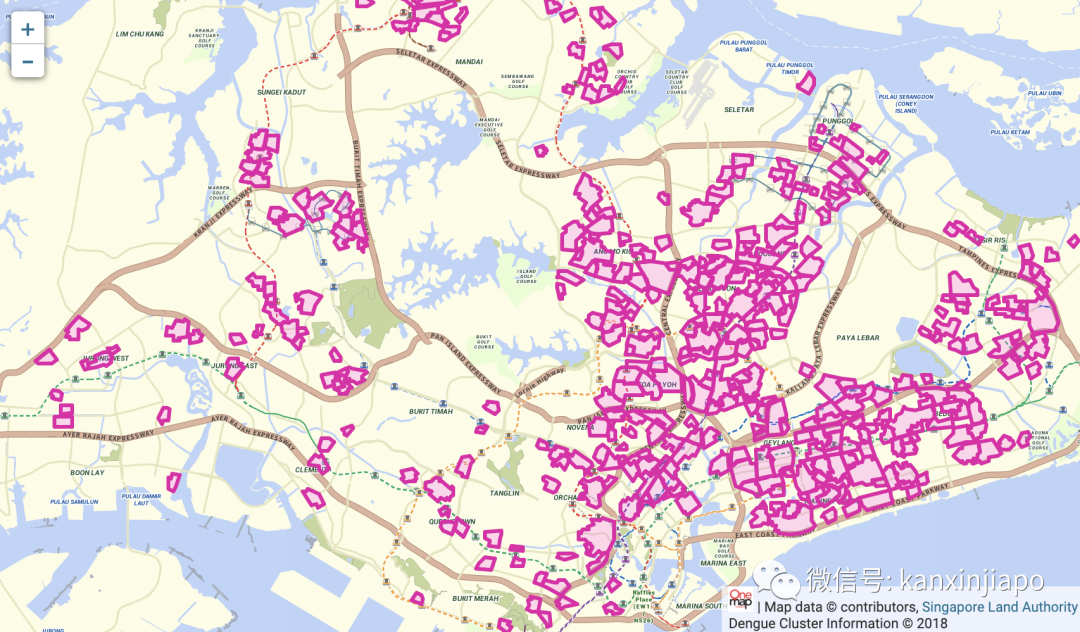 再添三起死亡病例！新加坡骨痛热症病例连续6周破千