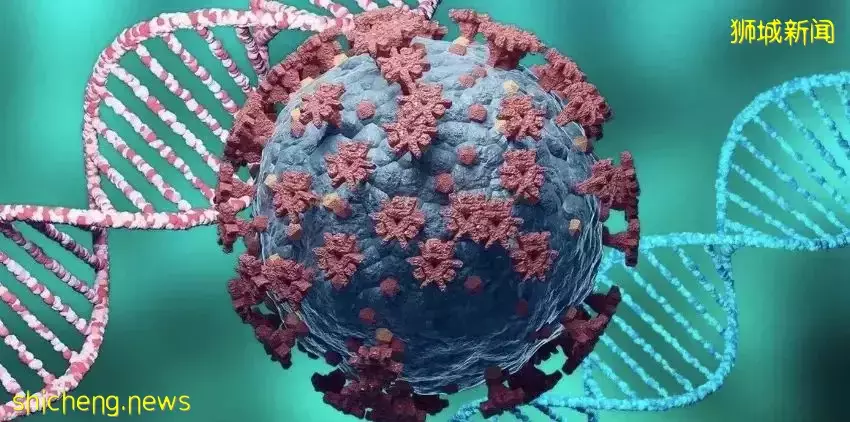 新加坡峰值過了嗎？東南亞各國都在遭受多病毒夾擊，它將加重疫情