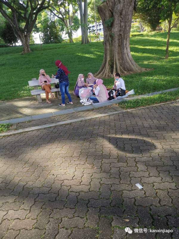 这五个关于新加坡的谜语,让大家来猜一猜