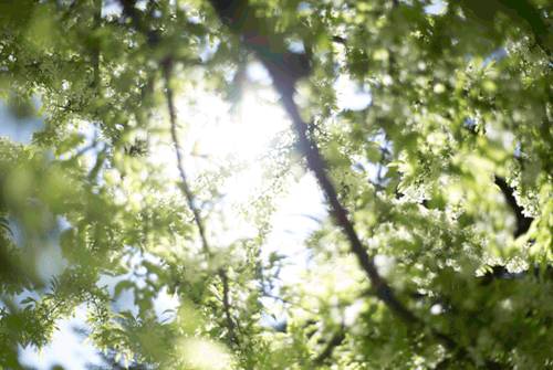 沉醉于‘新加坡’的美景，从住进这些高颜值的民宿开始