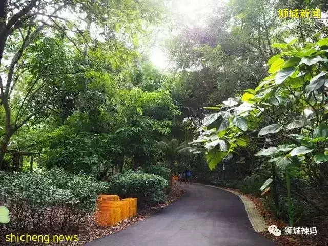 還沒安排4天長假？亞洲最大兒童花園，免費還無需預約