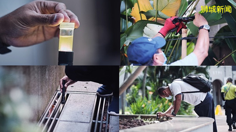 环境局和市镇理事会 将在接下来两周加强登革热防控行动