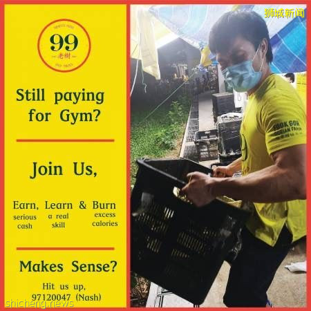 請菜鳥賣榴梿 月薪3千500新元 還免費練muscle