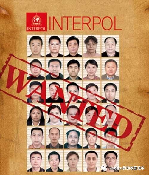 在新加坡犯了罪逃回中国就能高枕无忧？红色通缉令了解一下