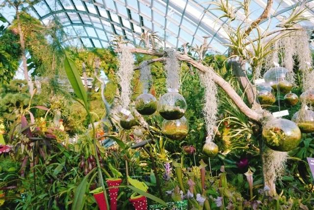 新加坡旅行|6天5晚奇遇狮城的日与夜