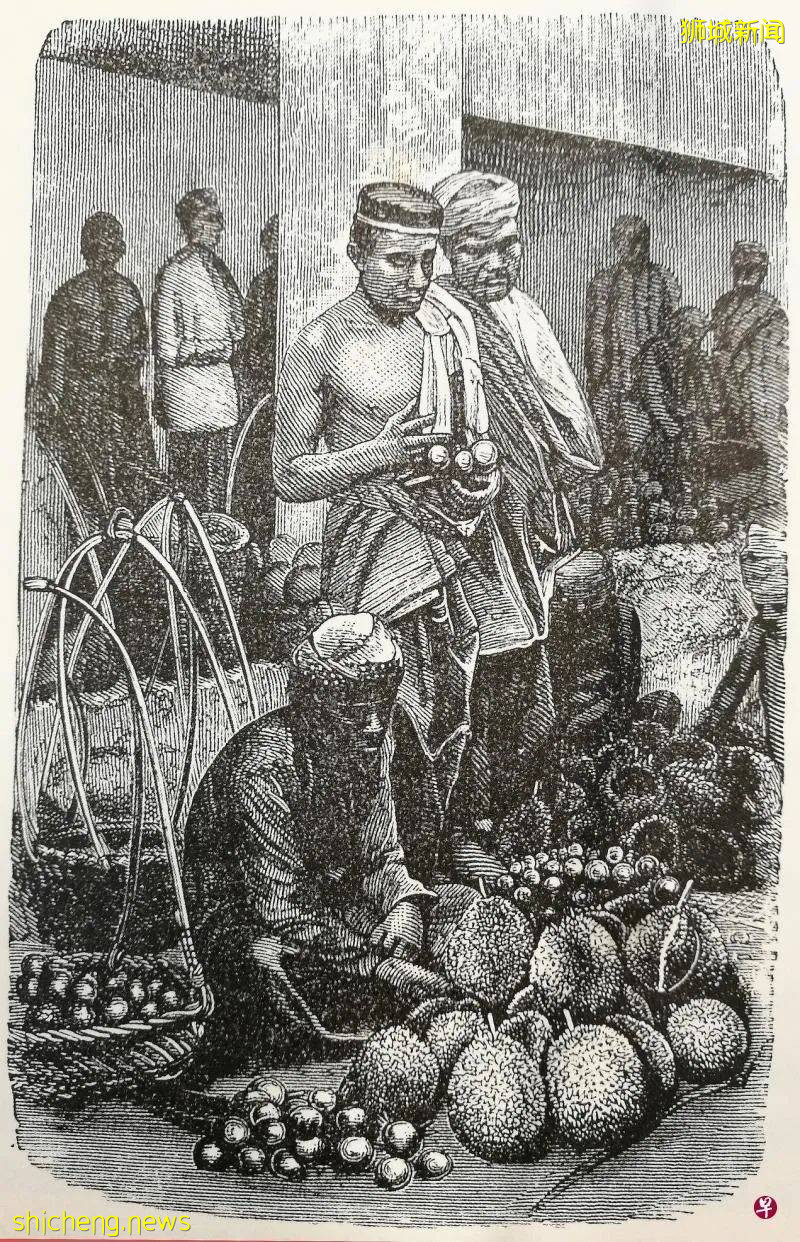 有“三保公大便”之称的榴梿，缘何成南洋华人集体记忆