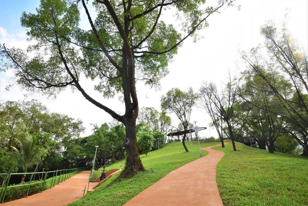 Bukit Batok全新游乐设施登场💥超长滑梯+绳索隧道+跑步栈道,大小朋友玩翻天💯