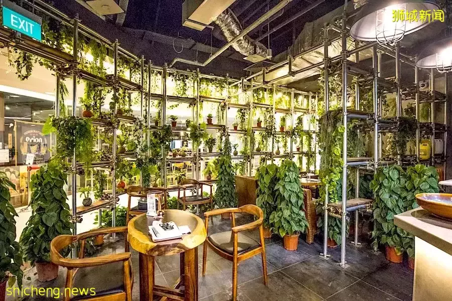 新加坡15间绝美植物主题餐厅,打卡喧嚣闹市里的绿野仙踪