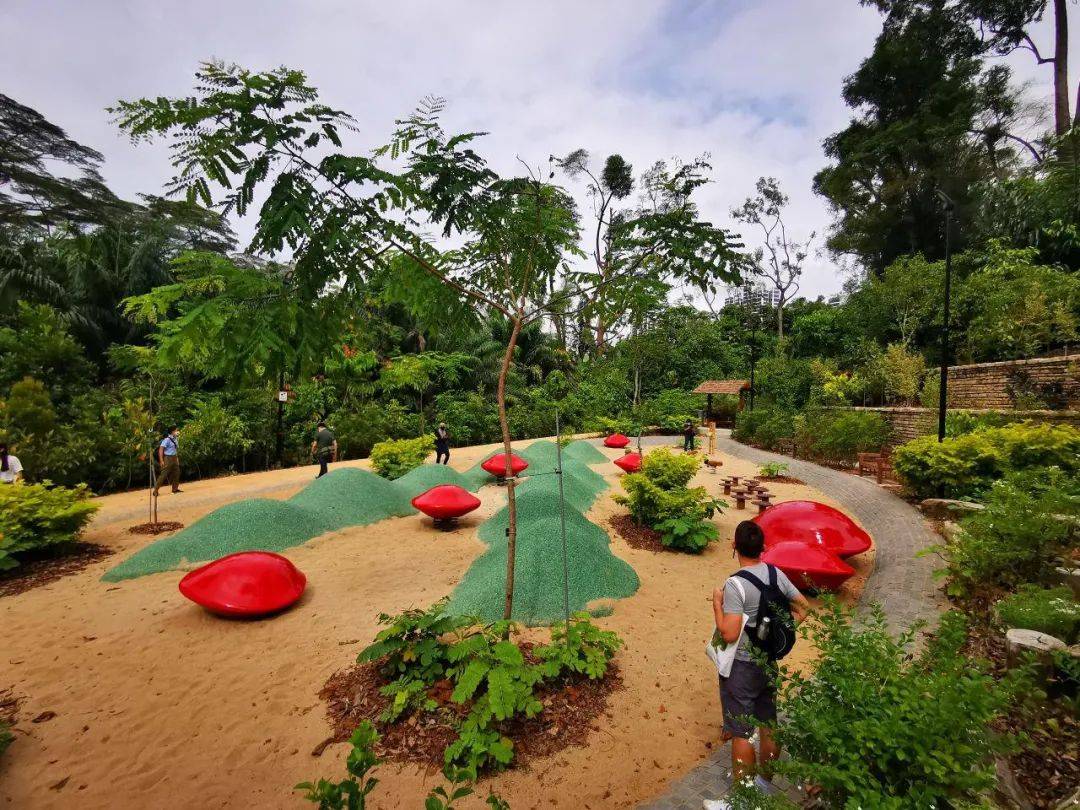 溜娃新去處!新加坡植物園推出新景點!COMO小樹林、巨型波羅蜜、探秘館、藝廊開放啦