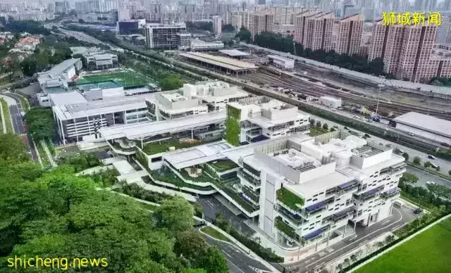 让小孩去新加坡留学怎么样