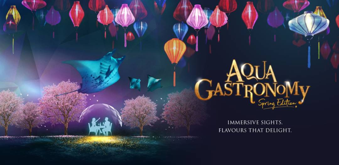 超多選擇！火鍋、粵菜、川菜、湘菜11家新加坡年夜飯，滿足中國胃