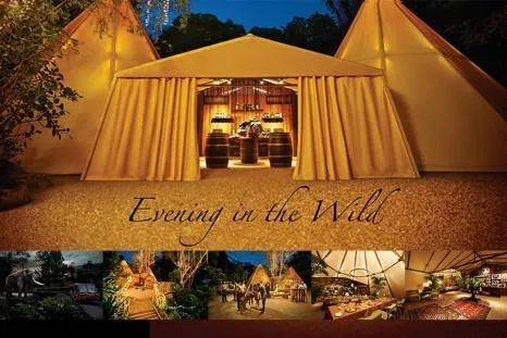 新加坡 中秋节野生动物之夜！酷炫探险~帐篷晚餐~赏月之旅