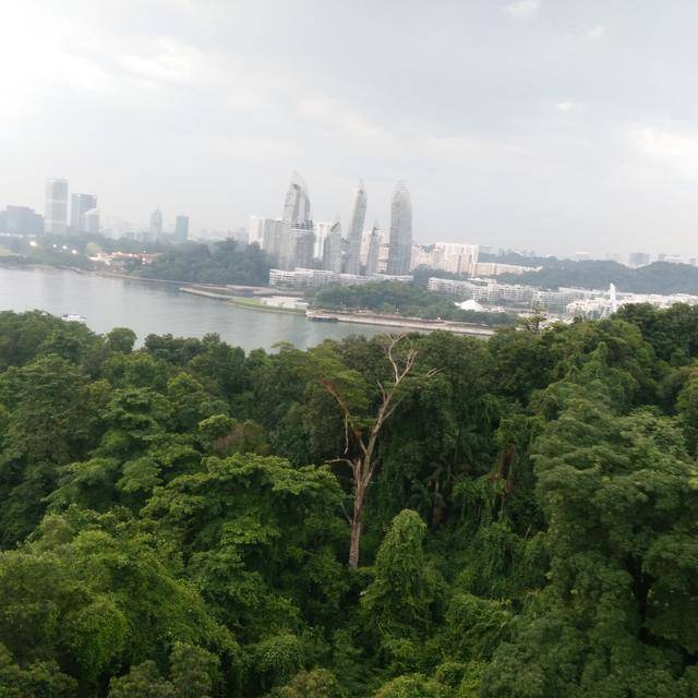 被誉为花园城市和园林国家的新加坡