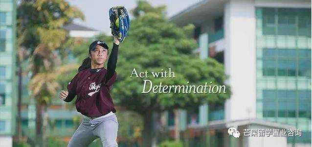 新加坡各阶段申请条件、学费及CAA课程