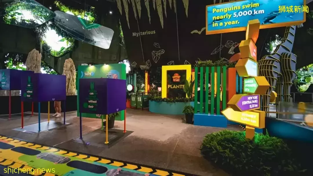 MCM、玩具1折！榜鹅Pororo嘉年华！澳龙买1送1！辣妈减脂瘦身营