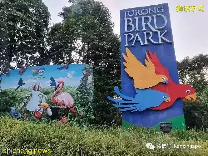 原來英國女王和鄧小平都來新加坡種過樹，地址就在這