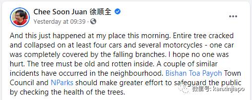 50多年老树轰然倒地,被毁车辆面目全非