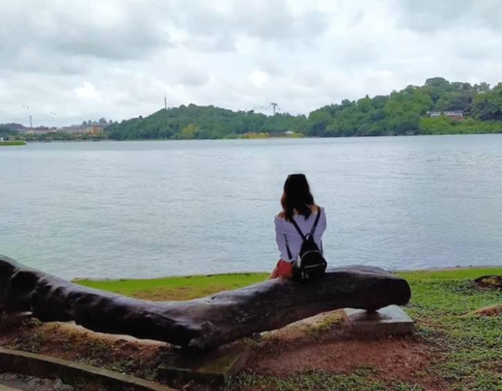 新加坡亲子野餐全攻略,18个宝藏公园帮你找全啦