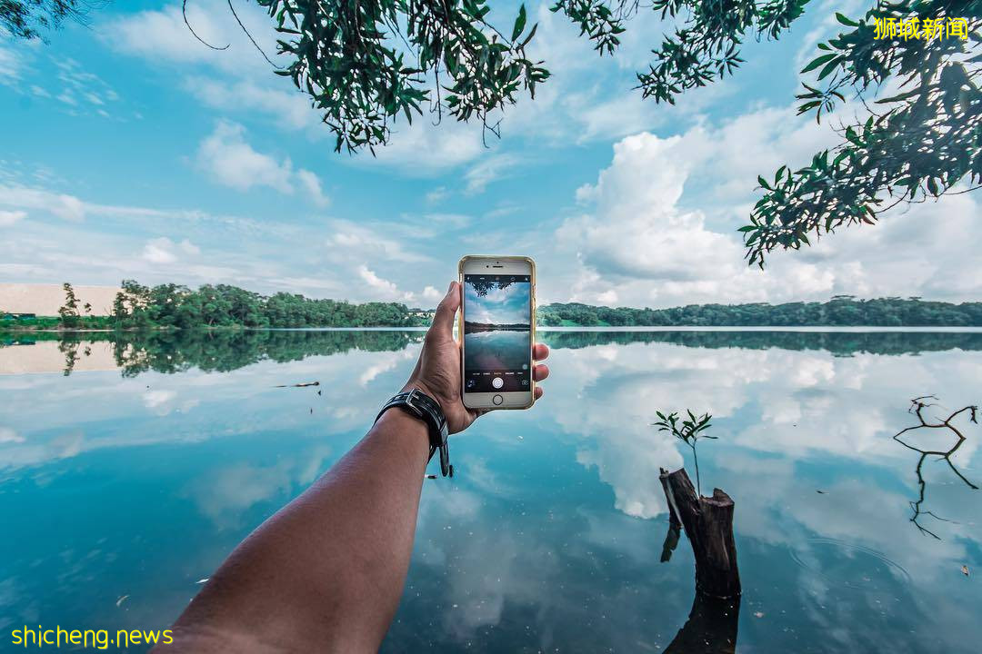 免費不用錢😍新加坡礦湖打卡✨風景如畫、美如仙境，到戶外走一圈後神清氣爽