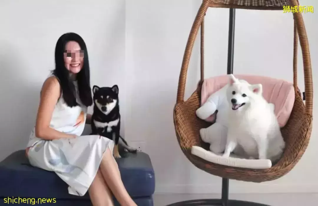 疫情2年,新加坡人存下一笔巨款!不出国、无社交、没夜生活后,每月开销不到1000新