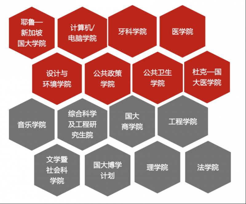 还在海外研修?国大线上课程助你提升背景转换跑道